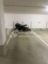 TG-Stellplatz am Proviantbach - TOP-Rendite - Stellplatz56
